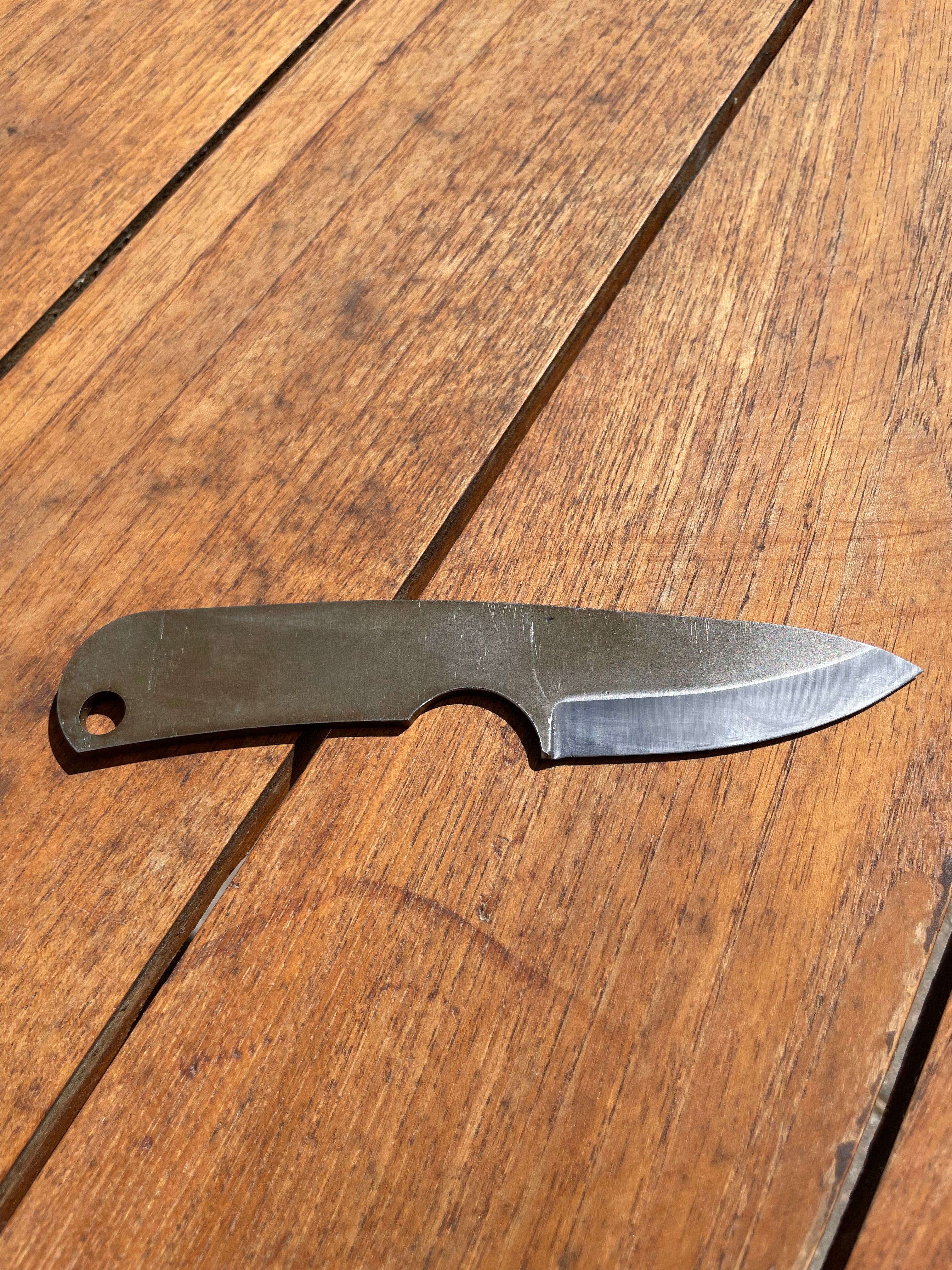 Model 1