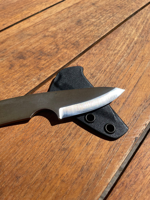 Model 1